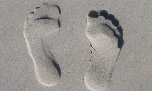 footprint